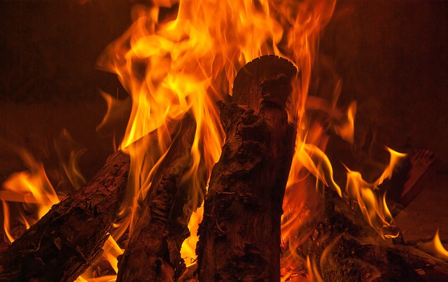 VADEMENCUM per l\'uso corretto di generatori di calore a legna, cippato e pellet